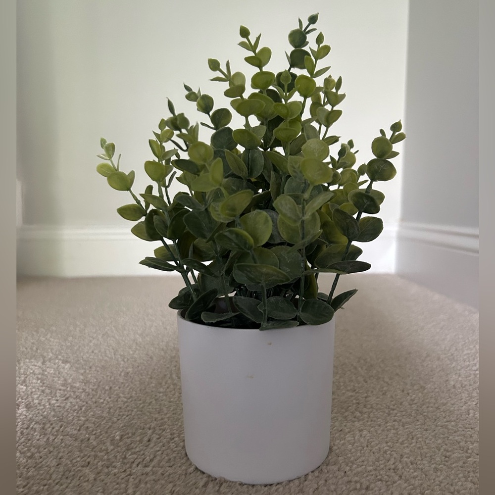 Artificial Plant